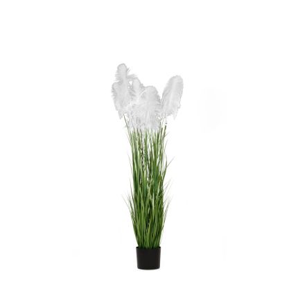 ARTIFICIAL WHITE PAMPAS GRASS Χ3 D20X180CM IN BLACK PLASTIC POT