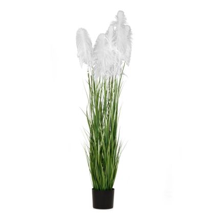 ARTIFICIAL WHITE PAMPAS GRASS Χ3 D23X220CM IN BLACK PLASTIC POT