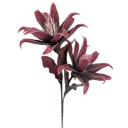 FOAM BRANCH GUSMANIA FLOWERS x2 BURGUNDY - 15x95cm 8/24KB