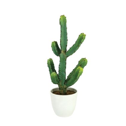 GREEN CACTUS IN POT - H48cm