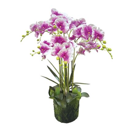 Изкуствена орхидея лилава/бяла REAL TOUCH - Η80cm