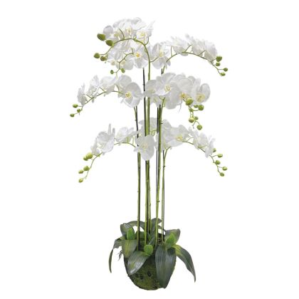 Изкуствена орхидея бяла REAL TOUCH - H118cm