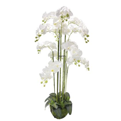 ARTIFICIAL ORCHID PLANT WHITE REAL TOUCH - H135cm