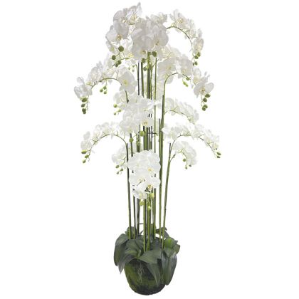 Изкуствена орхидея бяла REAL TOUCH - H168cm