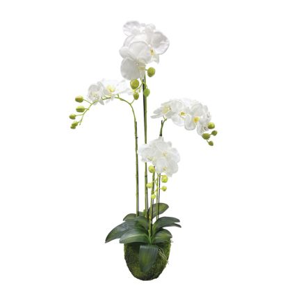 Изкуствена орхидея бяла REAL TOUCH - H98cm