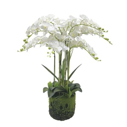 ARTIFICIAL ORCHID PLANT WHITE REAL TOUCH - Η80cm