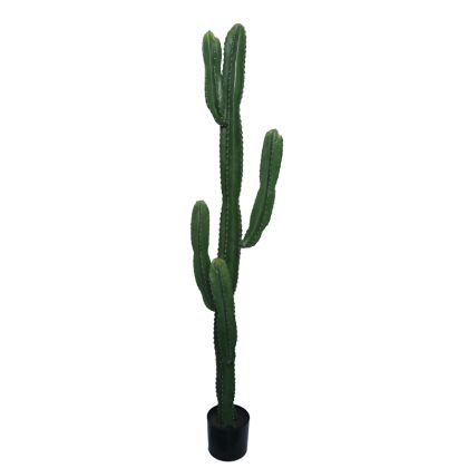 Декоративно дърво Cactus I в кашпа Inart H155cm