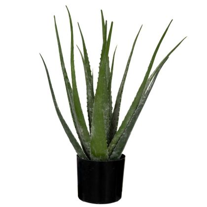 ДЕКОРАТИВНО РАСТЕНИЕ АЛОЕ С 18 ЛИСТА 50СМ В ПЛАСТМАСОВА САКСИЯ D12.5X11CM