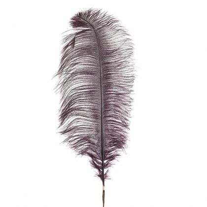 DECORATIVE FEATHER