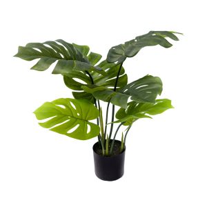 Декоративно растение Monstera в кашпа Inart H70cm