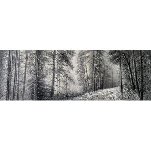 КАРТИНА НА ПЛАТНО ПЪТЕКА В СИВАТА ГОРА - 150x50cm 8/KIB