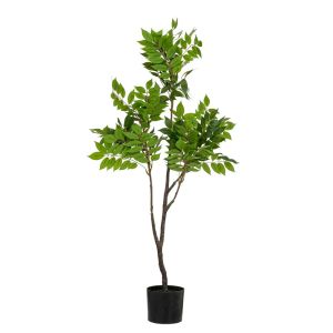 ДЕКОРАТИВНО РАСТЕНИЕ TOONA REAL TOUCH 120CM В ПЛАСТМАСОВА САКСИЯ D15X12.5CM