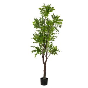 ДЕКОРАТИВНО РАСТЕНИЕ TOONA REAL TOUCH 180CM В ПЛАСТМАСОВА САКСИЯ D17Χ14.5CM