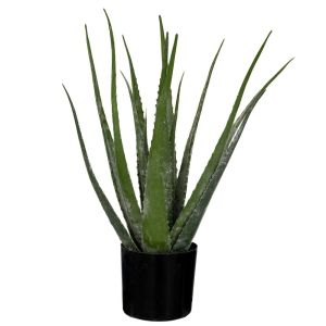 ДЕКОРАТИВНО РАСТЕНИЕ АЛОЕ С 18 ЛИСТА 50СМ В ПЛАСТМАСОВА САКСИЯ D12.5X11CM