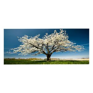 КАРТИНА GOBI HM4792 ПРИНТИРАНО ПЛАТНО 120X3 (ДЕБЕЛИНА)X50HCM.