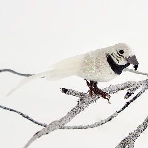 ПАПАГАЛ, БЯЛ, 14 СМ