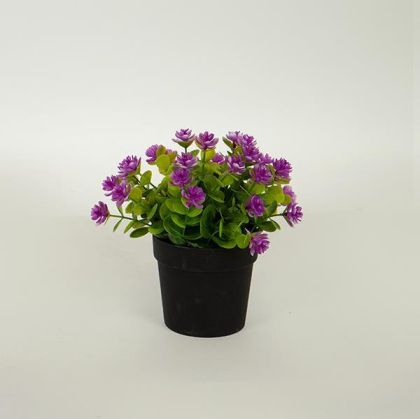 СТОЛ ОТ МАСИВНО ДЪРВО ЯСЕН WILLOW ЕСТЕСТВЕН ЦВЯТ 56X56X78CM