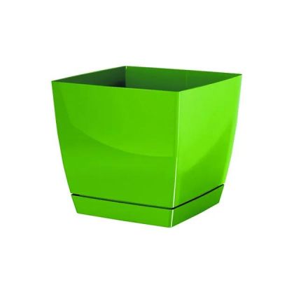 САКСИЯ С ЧИНИЙКА 18X18X16.5 СМ 10/40 КУТИИ