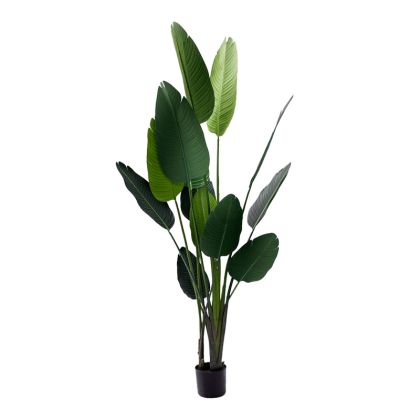 НАСТОЛНА ДЕКОРАТИВНА ФИГУРА КОНСКА ГЛАВА БЯЛ ЦВЯТ 12x12x42cm