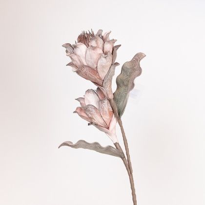 Decorative branch Protea gray-pink 26x100cm