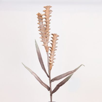 ДЪРВЕНО ШКАФЧЕ В БЯЛО RIVIERA