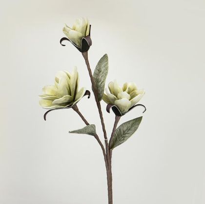 К-Т 2 БР. КУТИИ-КНИГИ АТЛАС