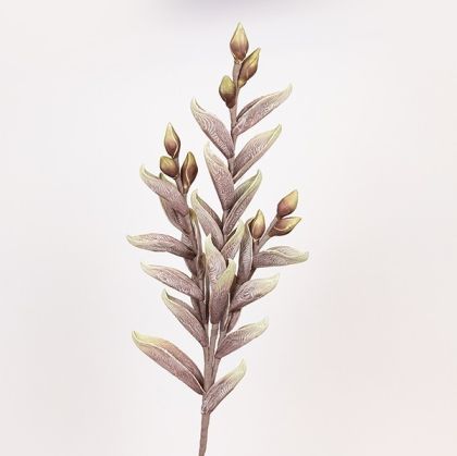 К-Т 2 БР. КУТИИ-КНИГИ КОН