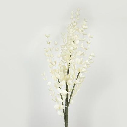 СТОЛ МОРЕНА