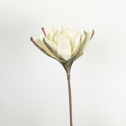 ЗАКАЧАЛКА ПЕПЕРУДА