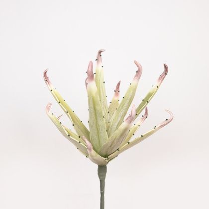 Плато gold crown