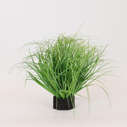 Картина с дървена рамка Дървета 80*2.3*60