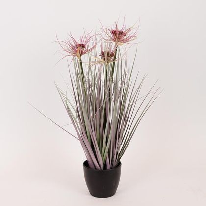 Картина платно с рамка 60*2.3*60