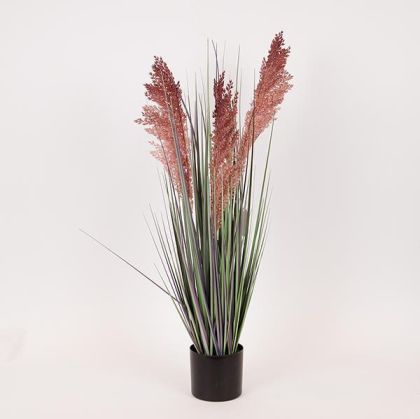 ДЕКОРАТИВНО РАСТЕНИЕ В САКСИЯ 69 СМ