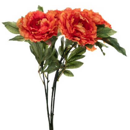 Шкаф за обувки Lounge в цвят дъб сонома с размери 60х23,5х81см