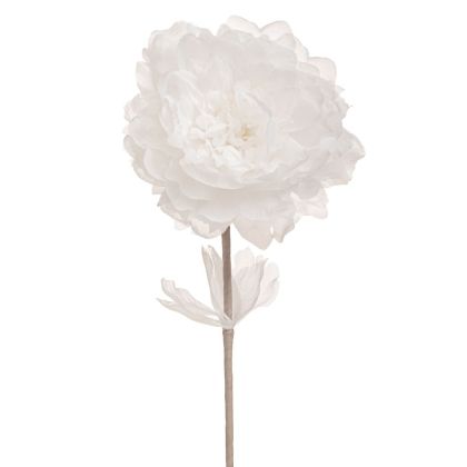 КАРТИНА ВЪРХУ ПЛАТНО Африканска дама 36212 БЕЖОВО-КАФЯВО 70x4x100см