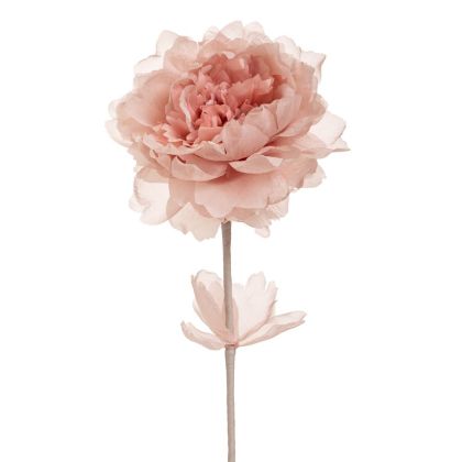 КАРТИНА ВЪРХУ ПЛАТНО Африканска дама 36214 БЕЖОВО-КАФЯВО 80x4x120см