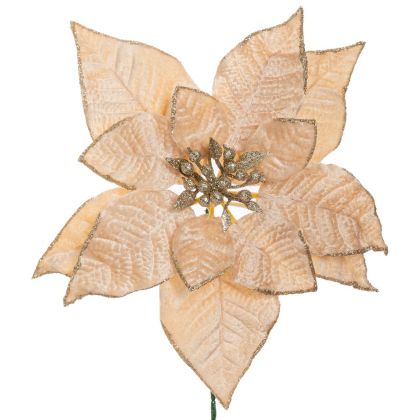 КОЛЕЗНА ЗВЕЗДА КЛОНКА 22Х24СМ