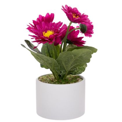 DECORATIVE GERBER IN CERAMIC POT 20 CM