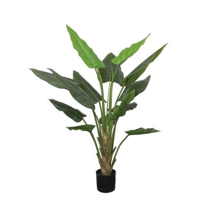 Real tree in a pot - h150 cm 2/kib