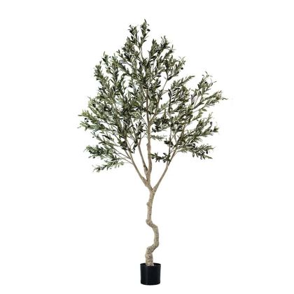 Olive tree in a pot, assembled - h240 cm 2/kib
