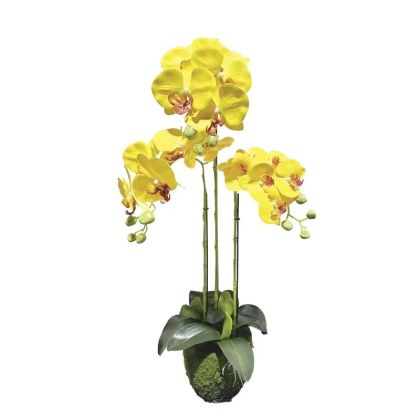 Orchid plant yellow Real Touch - 82 cm 2/kib