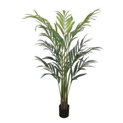 Palm tree in a pot - 190 cm 4/kib