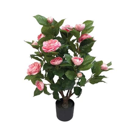 Pink camellia pot - h75 cm 4/kib
