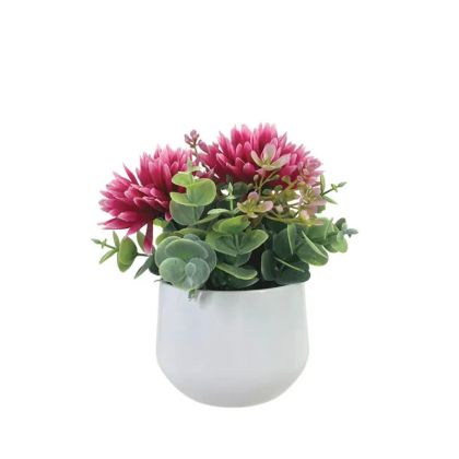 Fuchs pot with chrysanthemums and eucalyptus - height 18 cm, 6/12 boxes