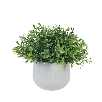 Green grass pot - h17 cm 6/12 box