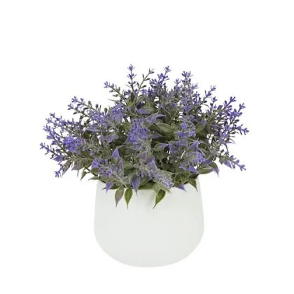 Pot with purple lavender plant Φ10x15cm 1/48box