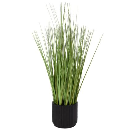 GRASS 48 CM IN CERAMIC POT 10X10 CM