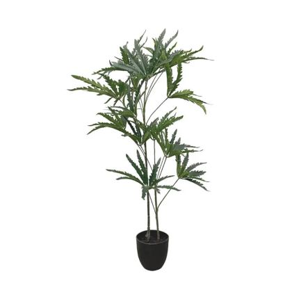 Apple tree in a pot - 100 cm, 6 pcs.