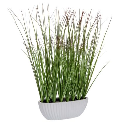 Grass 47 cm in a ceramic pot 15X9 cm