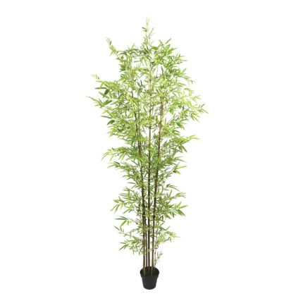 Real Touch Bamboo Tree in a Pot - H270CM 2/BOX